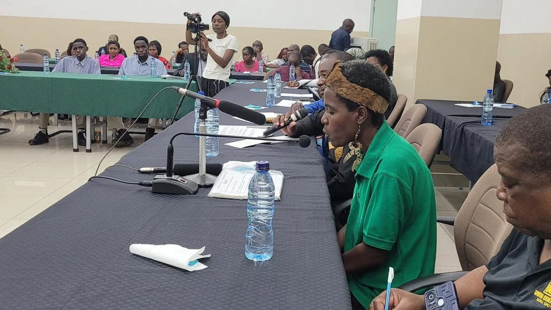 Constitutional Amendment Sittings Continue