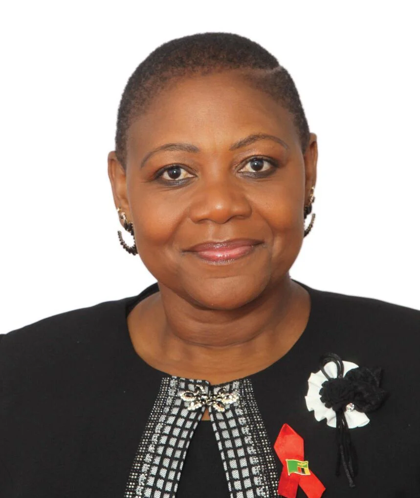 65 districts join virtual public sittings for Constitutional Amendments