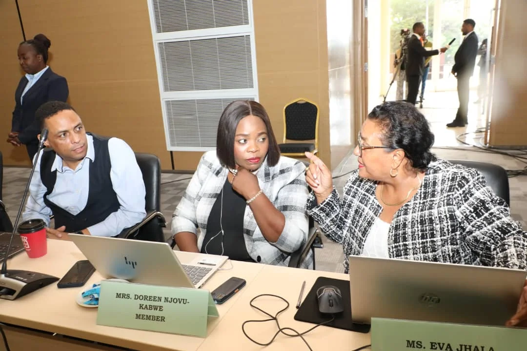 Lusaka Public Submissions Day 1 - 3